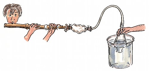 flute-blowing-in-flask-notext-s.jpg