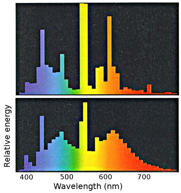 Spectral energy distribution of fluorescent lamps