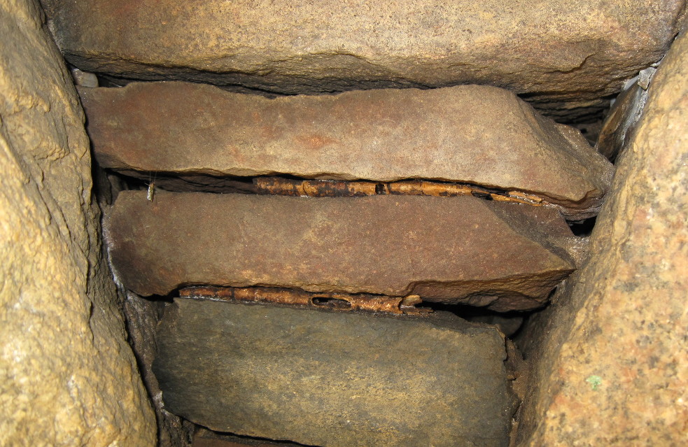 birch bark filling cracks