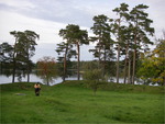 piksborg2593