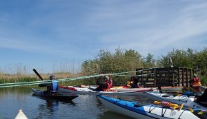 rope ferry