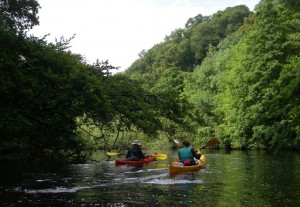 Dart at Dartington