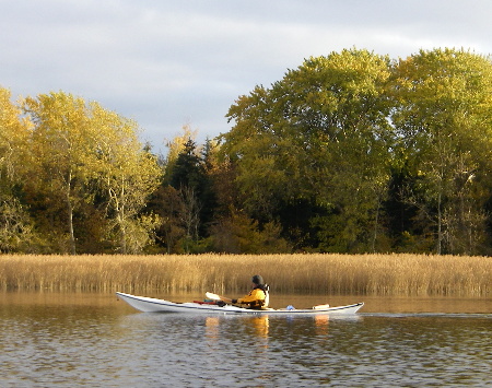 Greenland style paddle