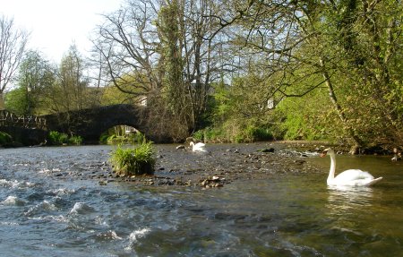 Bow Bridge