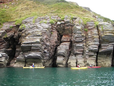 Berry head limestone