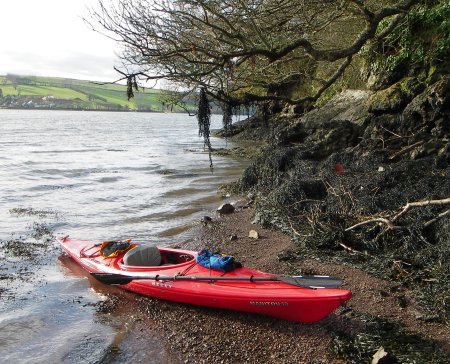 Tims canoe beached