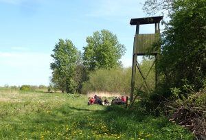 lunch under tower