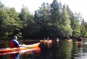 nissan paddlers