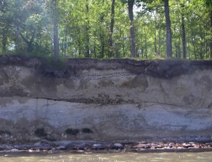 sand martin holes