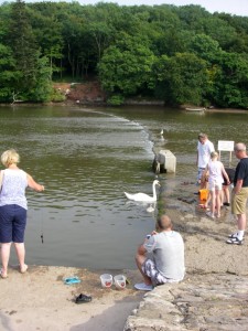 Stoke Gabriel dam