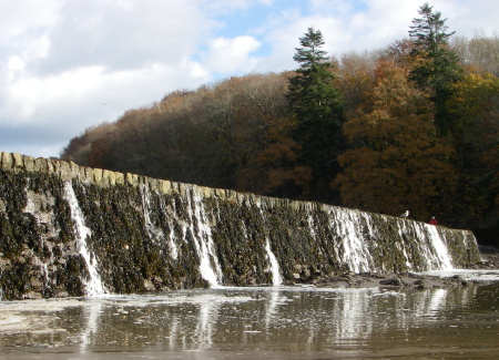 Tide mill dam at Stoke Gabriel