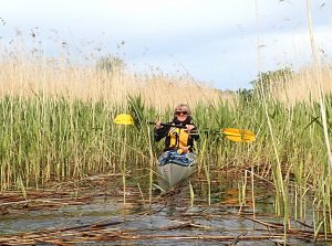 into the lake