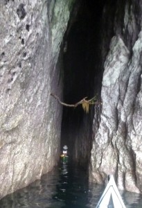 narrow cave berry head